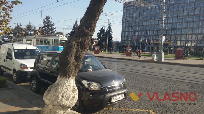 акція чиста Соборна у Вінниці фото