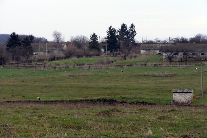 село Озеро фото