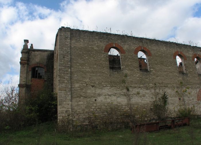 боровка фото