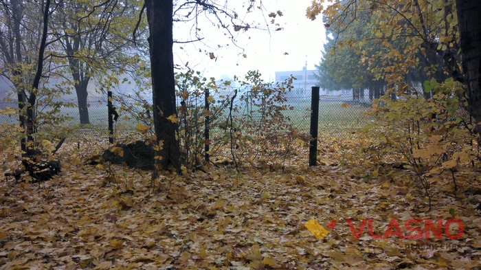 Лісопарк у Вінниці фото