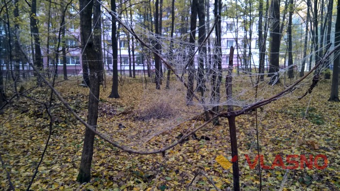 Лісопарк у Вінниці фото