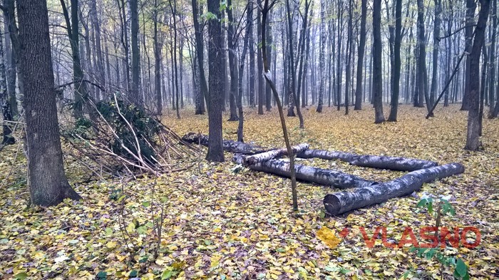 Лісопарк у Вінниці фото