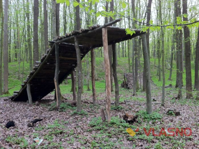 лісопарк вінниця фото