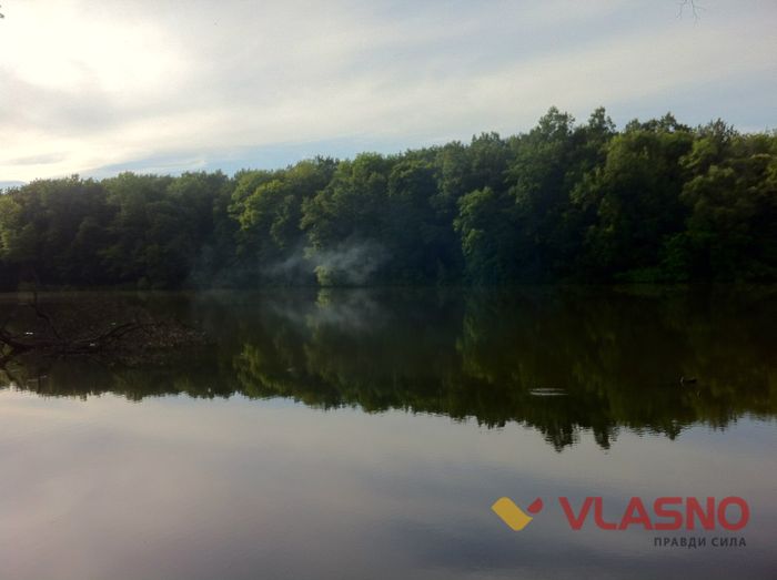 лісопарк вінниця фото