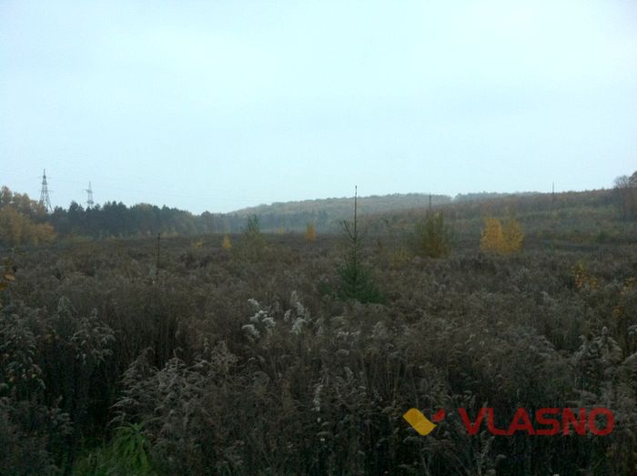 лісопарк вінниця фото