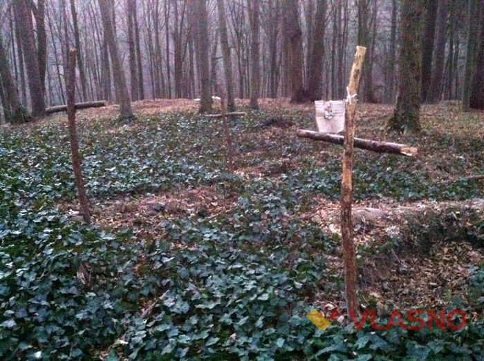 лісопарк вінниця фото