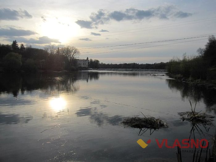 качки на річці фото