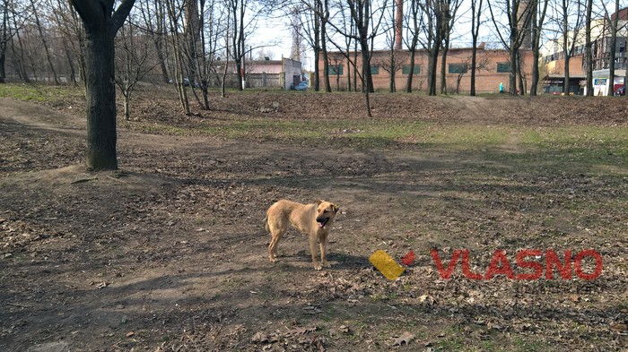 парк Інтеграл у Вінниці фото