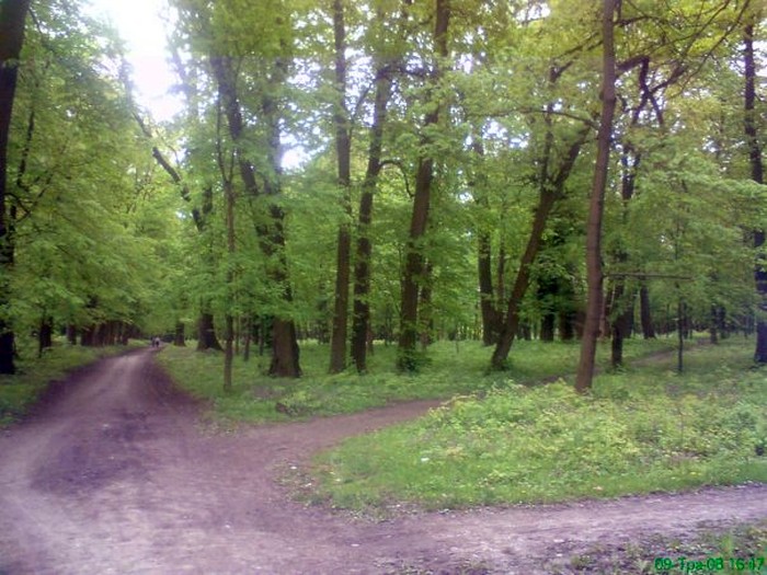 парк у селі Рахни Лісові фото