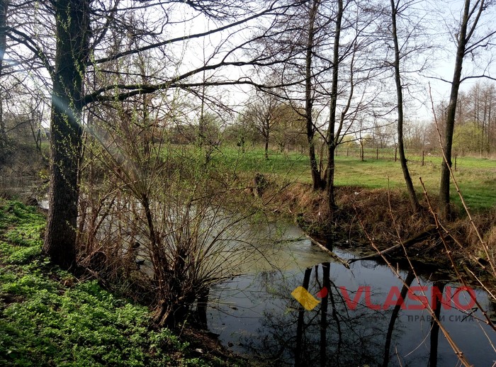 село Мізяків фото