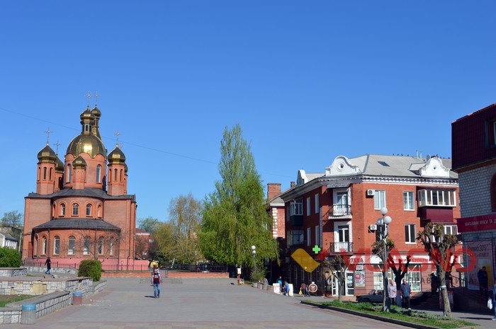 адамова яблуня у Жмеринці фото
