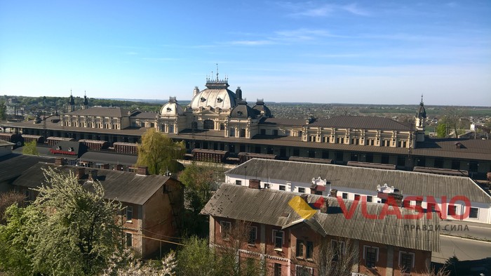 адамова яблуня у Жмеринці фото
