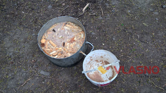 притулок для собак у Вінниці фото