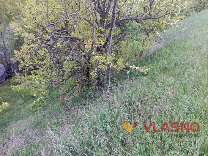 село Сосни фото