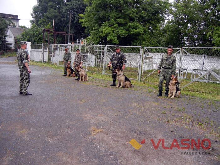 службові собаки колонія фото