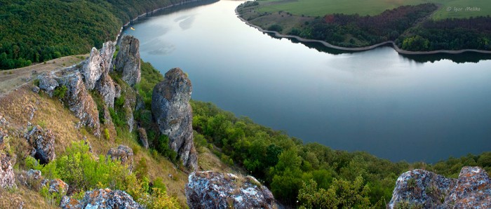 Шишкові горби фото