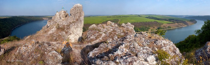 Шишкові горби фото