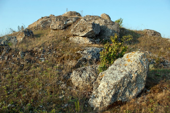 Шишкові горби фото