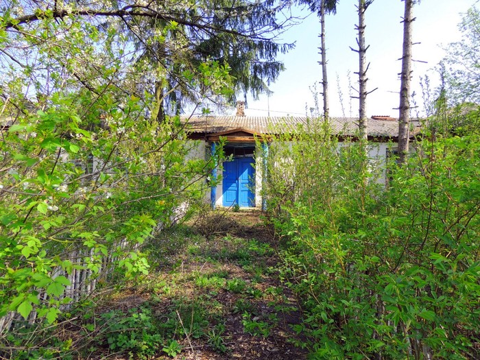 Скоморошки фото