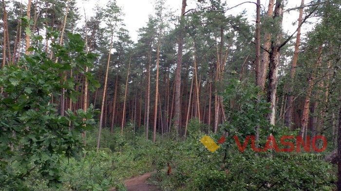 Коростишівський каньйон фото