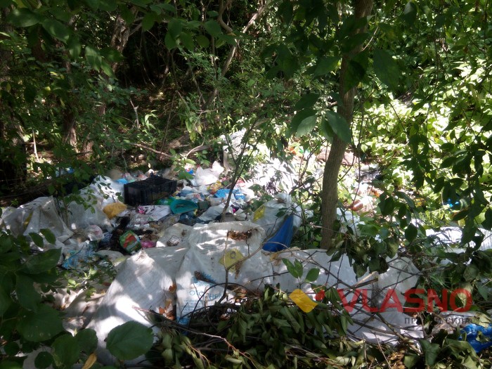 Стрижавські смітники фото