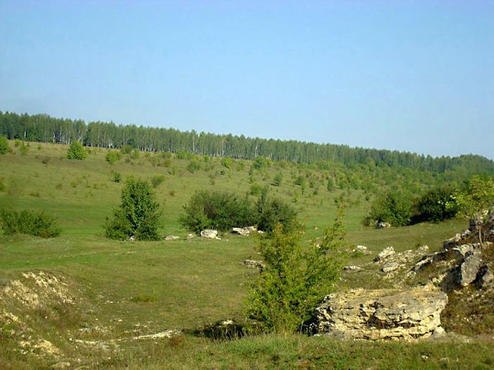 село Кацмазів фото