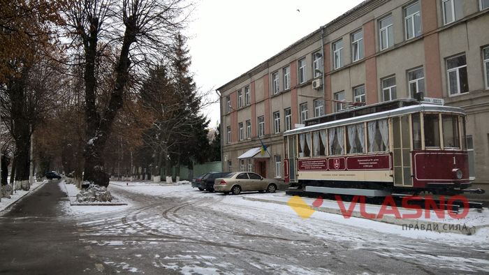 "цегляне" дерево у Вінниці фото