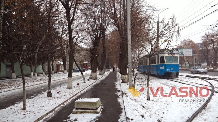 "цегляне" дерево у Вінниці фото