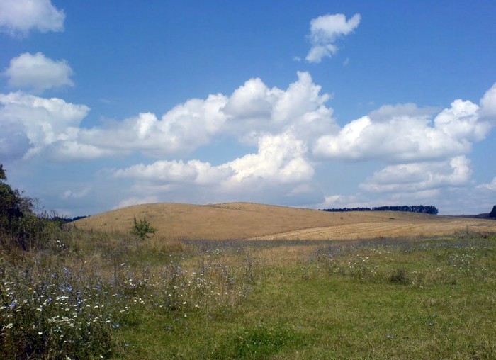 село Першотравневе фото