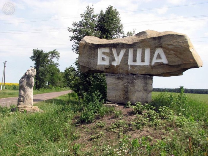 зупинка у селі Буша фото
