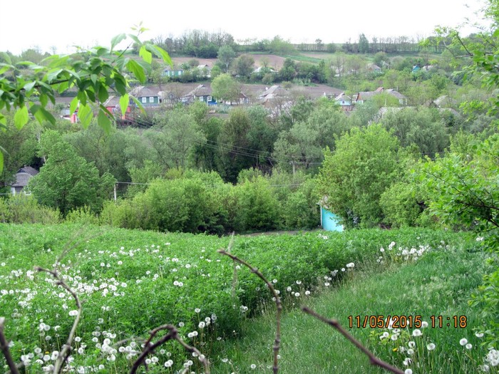 село Борщагівці фото