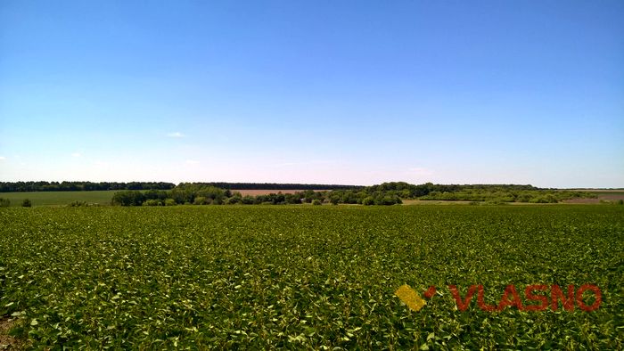 село Ксаверівка фото