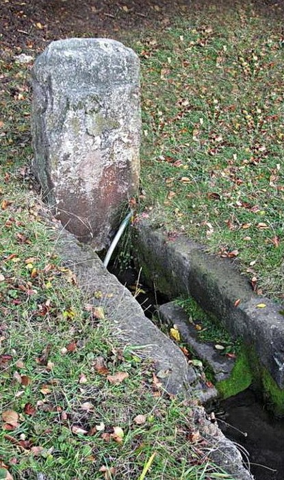 село Кинашів фото