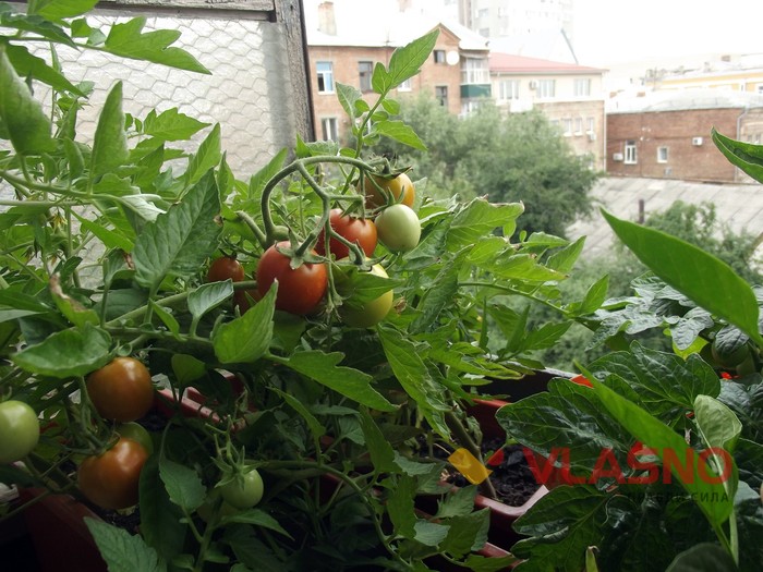 город на балконі фото