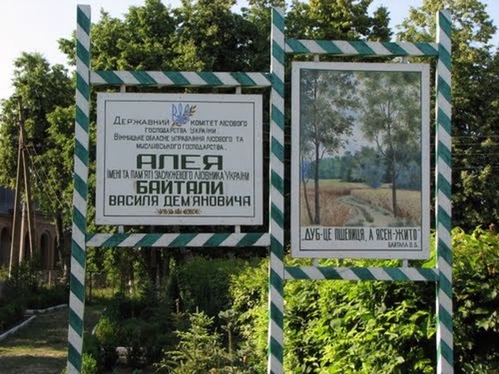 Пеньківка фото