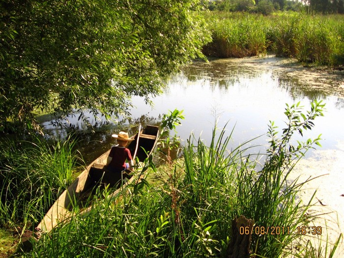 село Цибулівка фото