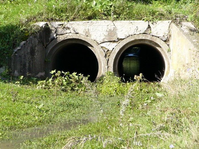 село Цибулівка фото