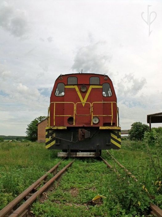 кладовище теплотягів фото