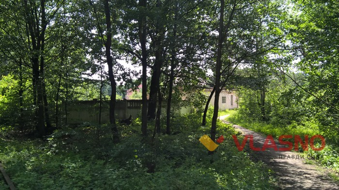 залізниця у вінницькому лісі фото