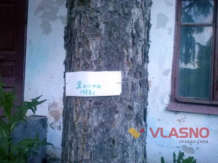 дитячий садочок у Буші фото