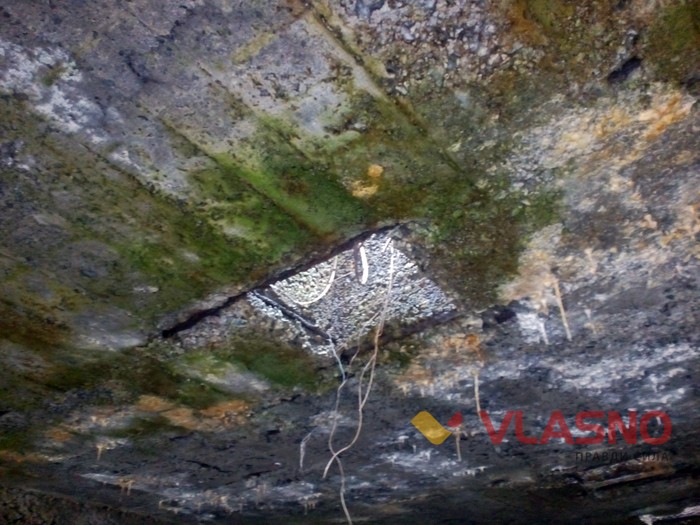 німецький будинок у Селищі фото