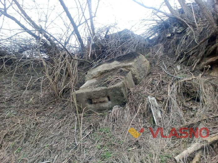 німецький будинок у Селищі фото