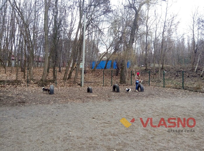 майданчик для вигулу собак у Вінниці фото
