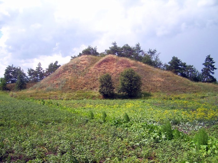 село Сороки фото