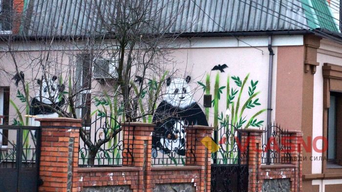 будинок на Пушкіна 38 з пандами у Вінниці фото