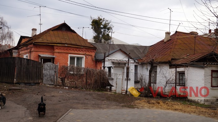 вінницька Єрусалимка фото