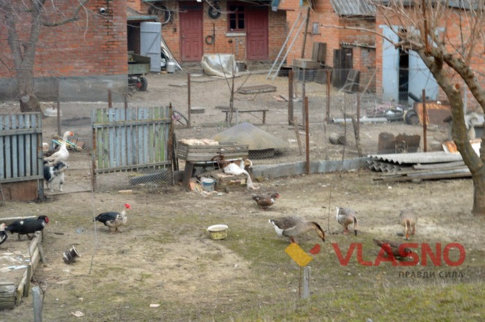 станція Гуменне фото
