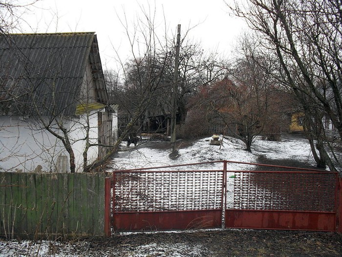 село Григорівка фото