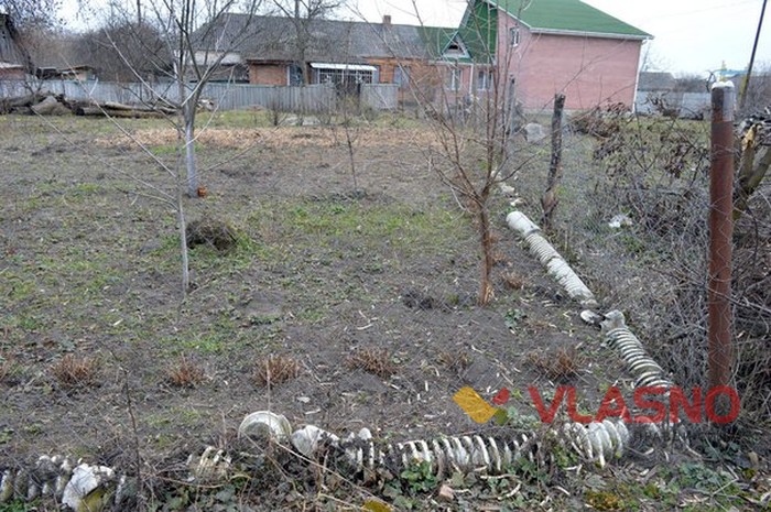 село Гуменне фото