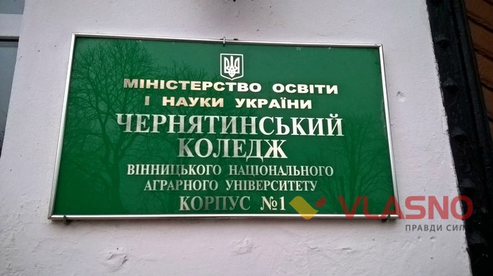 палац у Чернятині фото